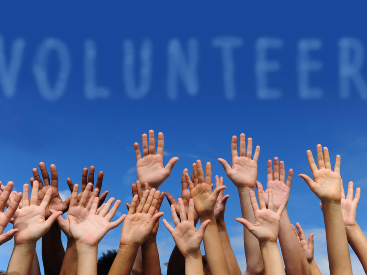 Volunteers photo