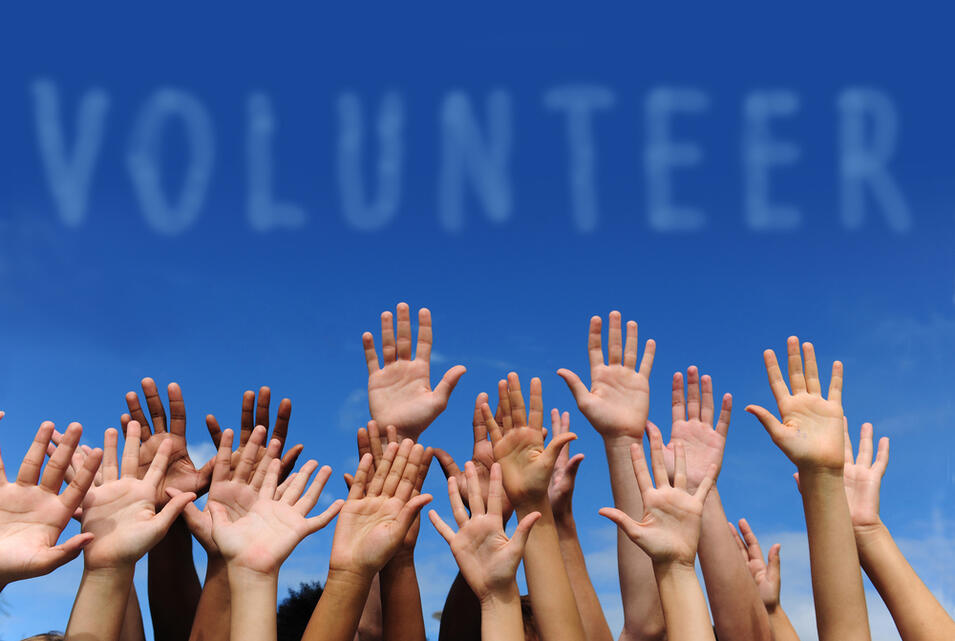 Volunteers photo